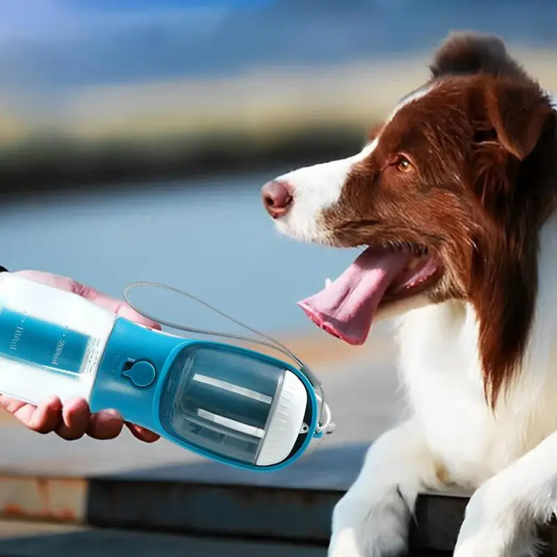 3-in-1 Pet Feeder – Portable Food, Water & Waste Bag Dispenser for Your Pet – Made with FDA-Approved PC Material