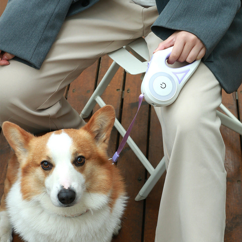 2-in-1 Retractable Dog Leash with Collar - Spotlight for Night Walks
